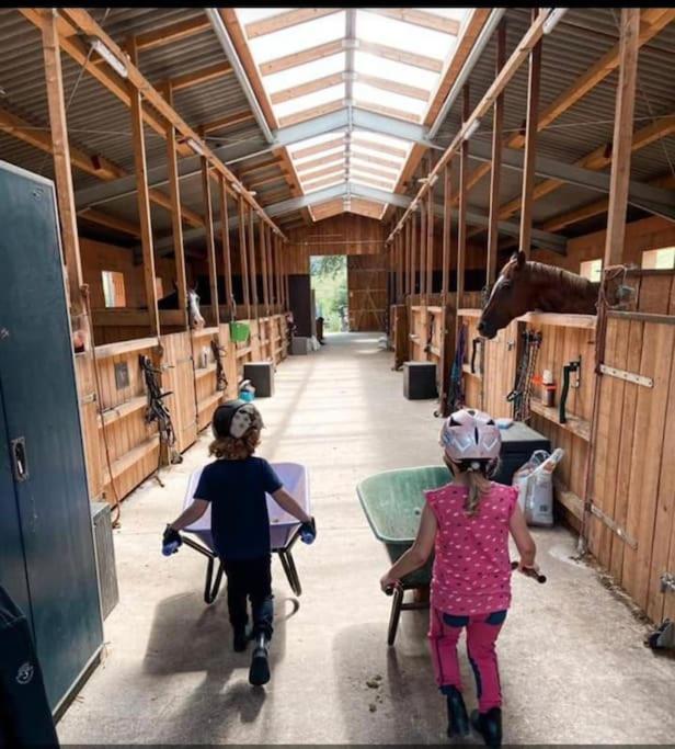 Ferienwohnung Beim Pferdehof Neuenstein  Exteriör bild