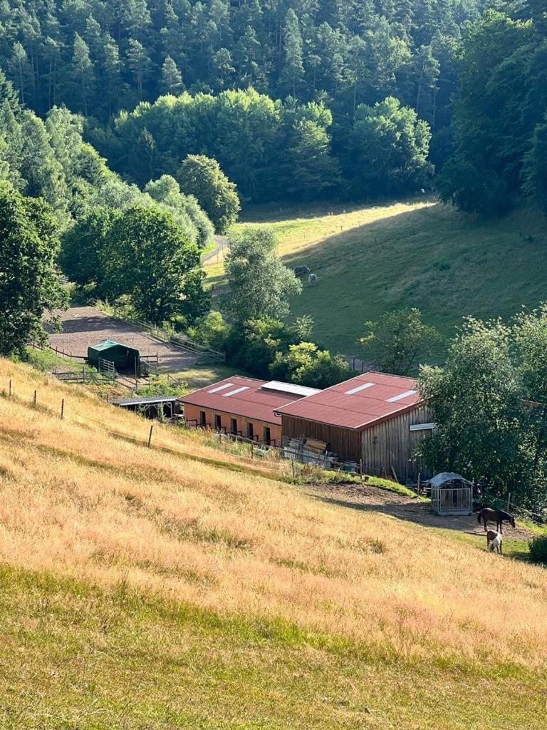 Ferienwohnung Beim Pferdehof Neuenstein  Exteriör bild